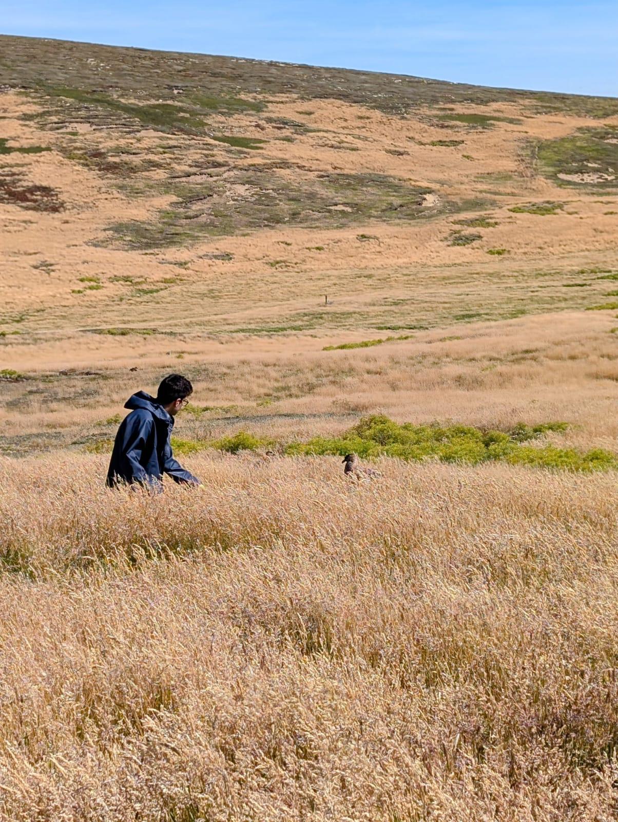 Fieldwork in Falklands